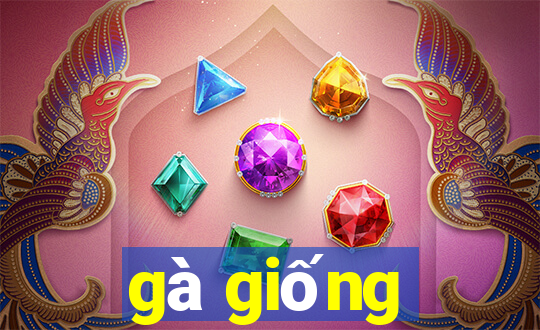 gà giống