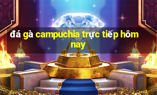 đá gà campuchia trực tiếp hôm nay