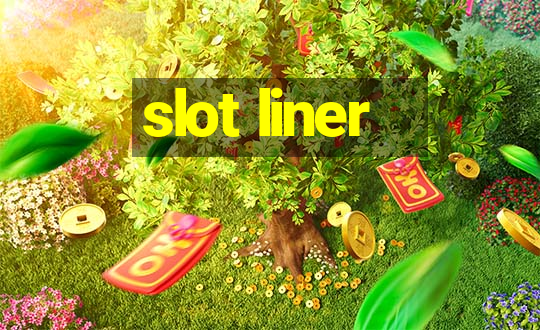 slot liner