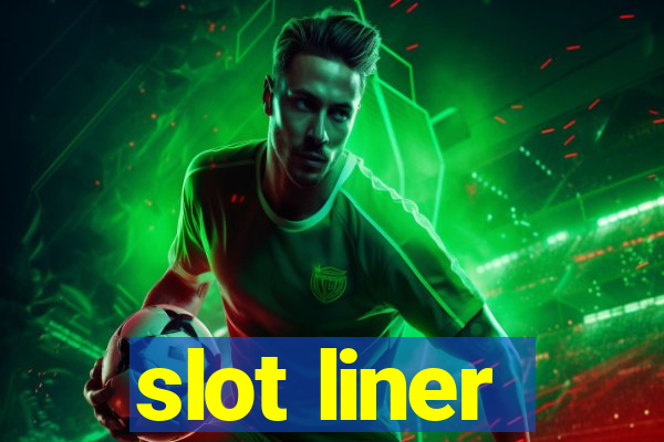 slot liner