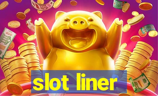 slot liner