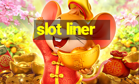 slot liner