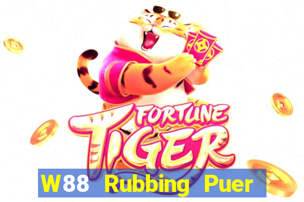 W88 Rubbing Puer game bài cài đặt