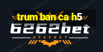 trum ban ca h5