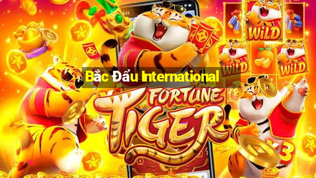 Bắc Đẩu International