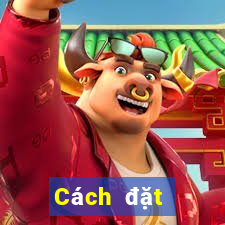 Cách đặt cược XSQNG thứ bảy