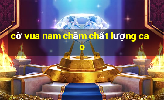 cờ vua nam châm chất lượng cao