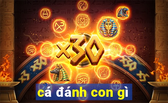 cá đánh con gì