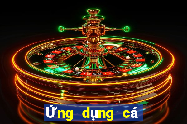 Ứng dụng cá cược thể thao bóng rổ