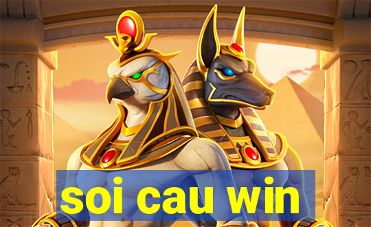 soi cau win