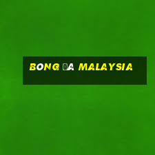 bóng đá malaysia