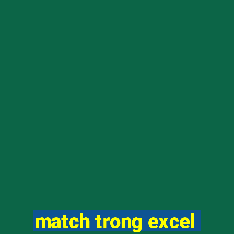 match trong excel