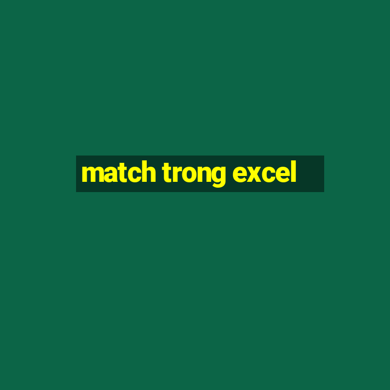 match trong excel