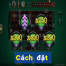 Cách đặt cược XSQT ngày 15