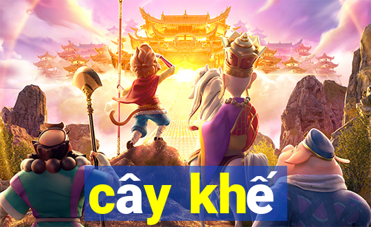 cây khế