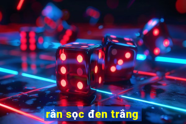 rắn sọc đen trắng