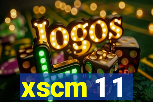 xscm 1 1