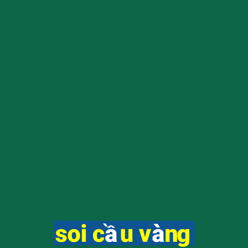 soi cầu vàng