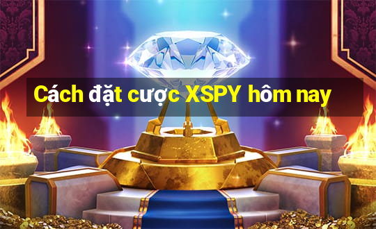 Cách đặt cược XSPY hôm nay