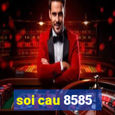 soi cau 8585