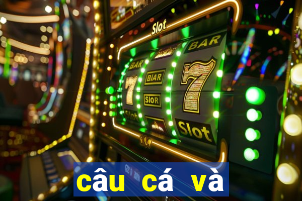 câu cá và cuộc sống