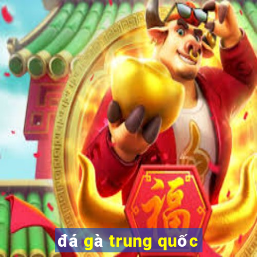 đá gà trung quốc