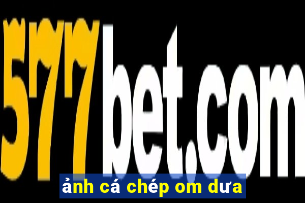 ảnh cá chép om dưa