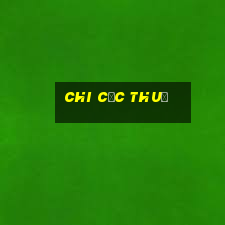 chi cục thuế