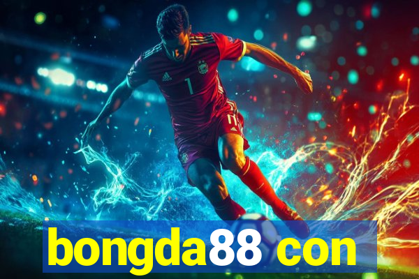 bongda88 con