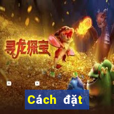 Cách đặt cược XSHCM Thứ 2