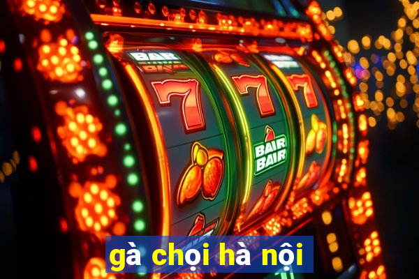 gà chọi hà nội