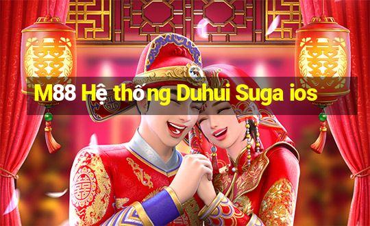 M88 Hệ thống Duhui Suga ios