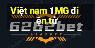 Việt nam 1 MG điện tử