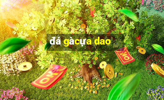 đá gà cựa dao