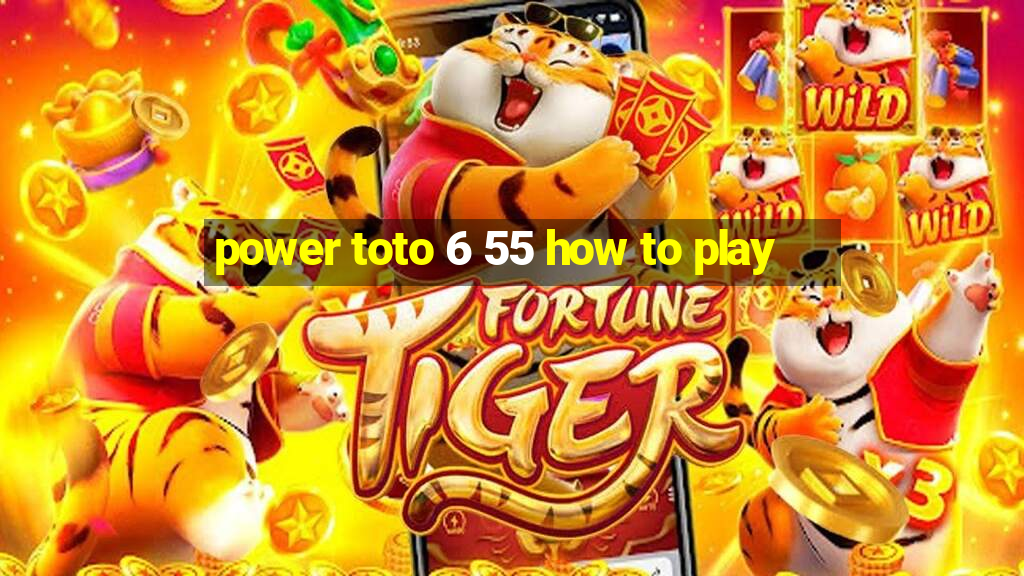 power toto 6 55 how to play