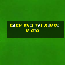 cách chơi tài xỉu cơm gạo