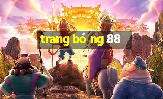 trang bóng 88