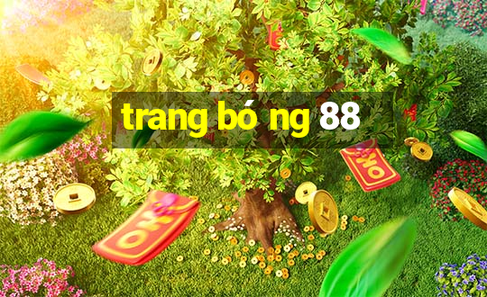 trang bóng 88