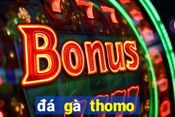 đá gà thomo trận 19 hôm nay