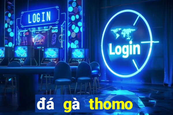 đá gà thomo trận 19 hôm nay