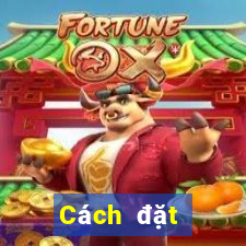 Cách đặt cược XSQNG thứ tư