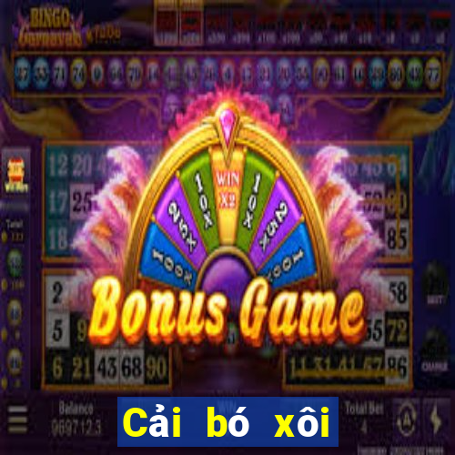 Cải bó xôi Game Giải trí Fun88 tải về