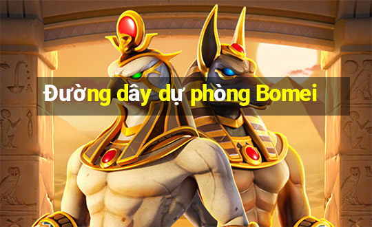 Đường dây dự phòng Bomei