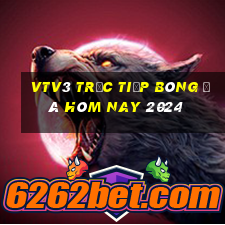 vtv3 trực tiếp bóng đá hôm nay 2024