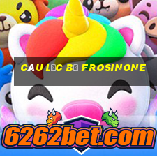 câu lạc bộ frosinone