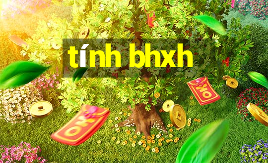 tính bhxh