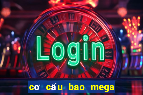 cơ cấu bao mega 6 45