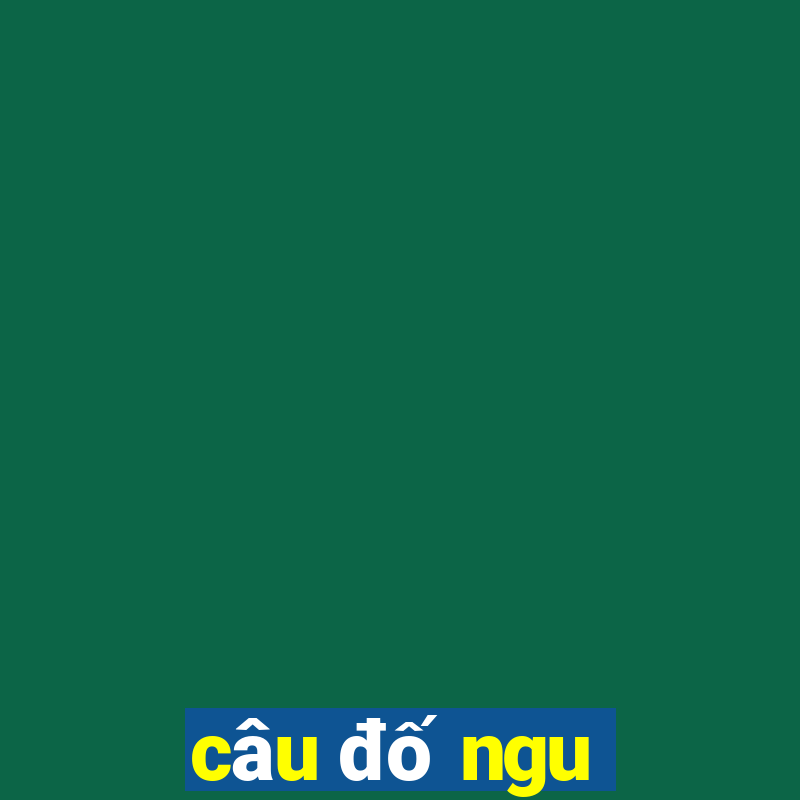 câu đố ngu