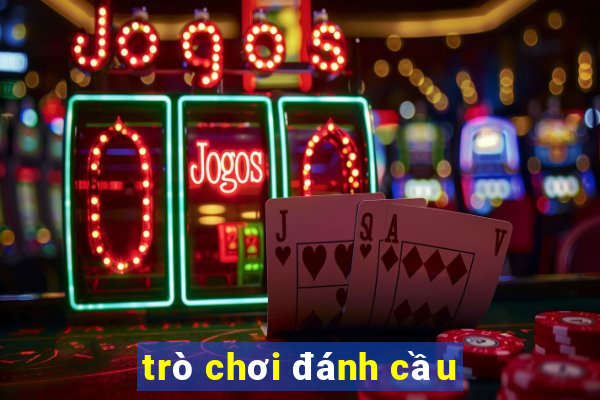 trò chơi đánh cầu