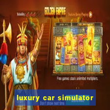 luxury car simulator